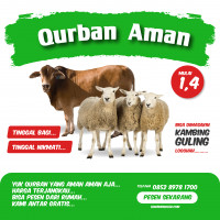 Jual Kambing Qurban Di Pondok Gede