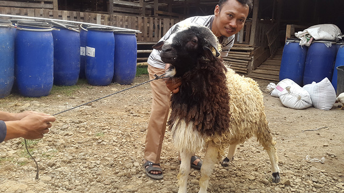 aqiqah murah di gunung putri