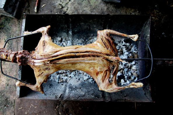 kambing guling di bogor