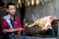 Jasa Spesialis Kambing Guling Di Bogor