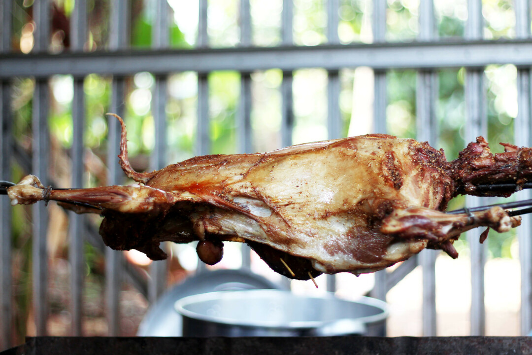 jual kambing guling di babakan madang