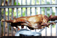 Jual Kambing Guling Di Babakan Madang