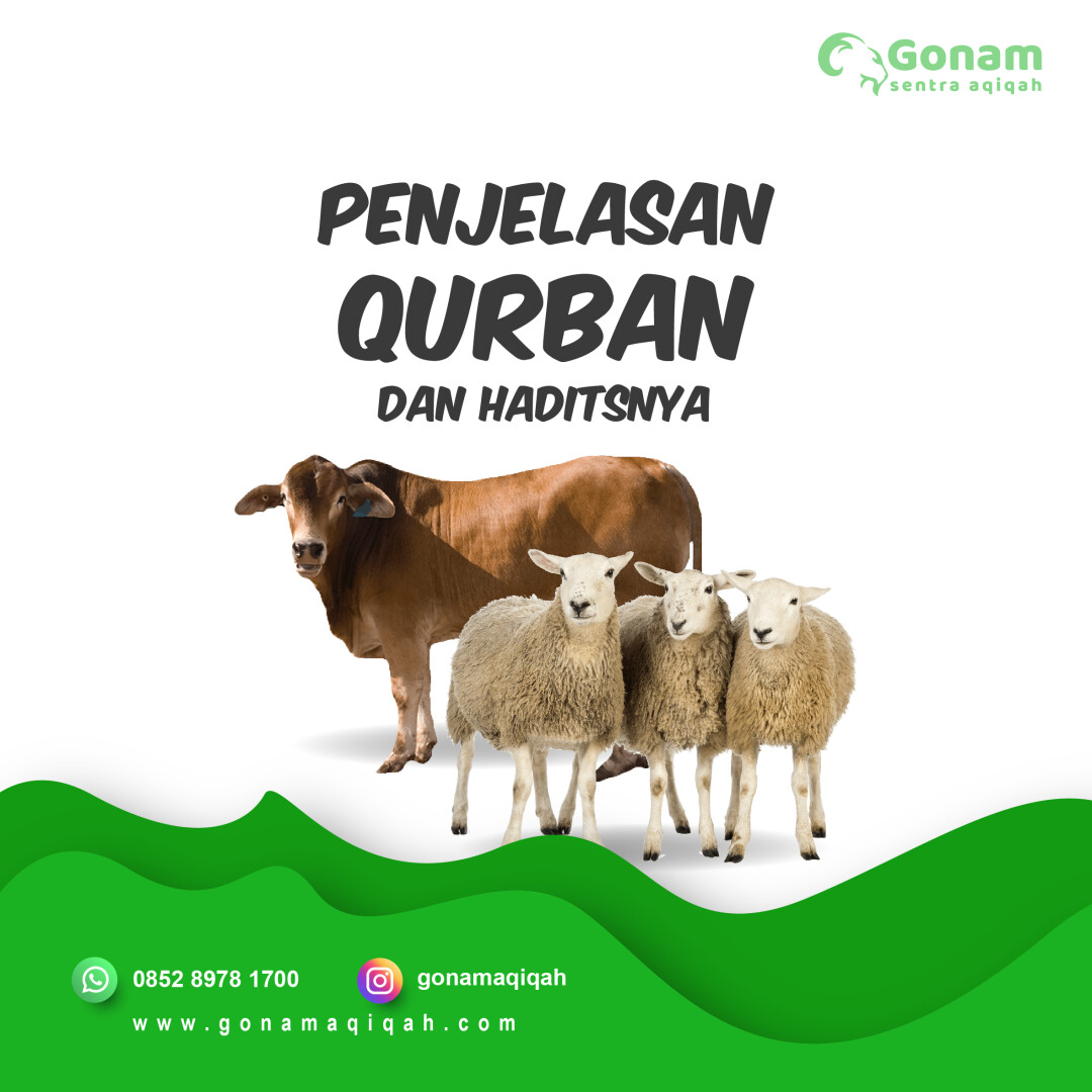 penjelasan hukum qurban dalil dan waktu pelaksanaan